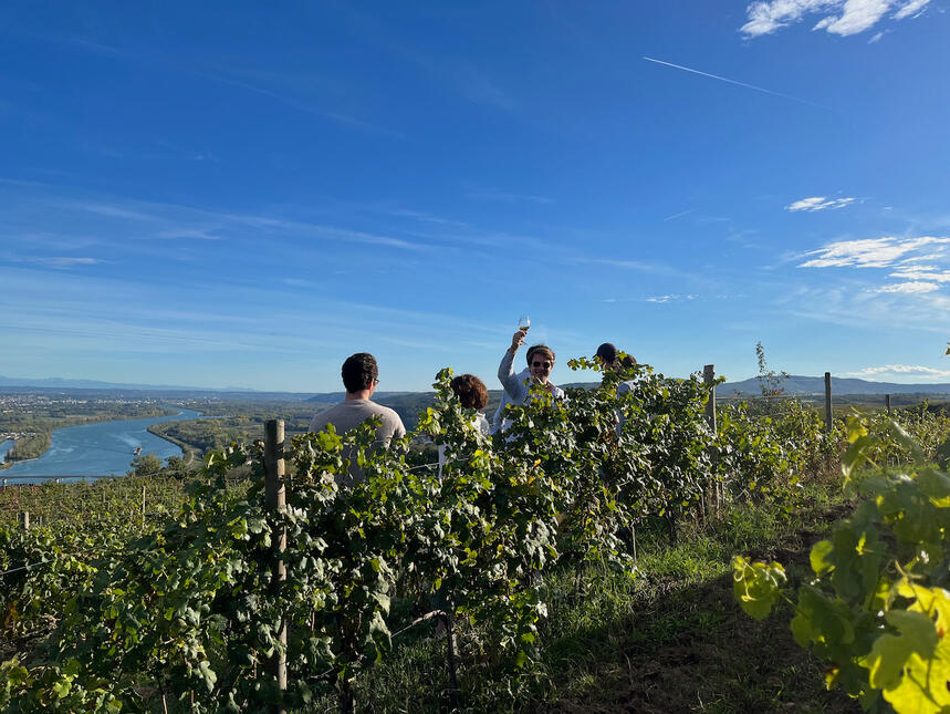 Domaine du Monteillet 4