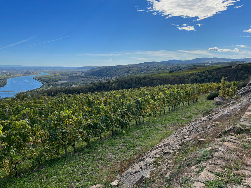 Domaine du Monteillet 2