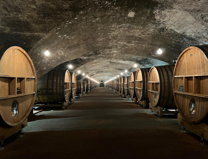 Château de la Chaize - Septembre 2024 Château de la Chaize - Septembre 2024
