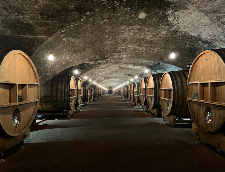 Château de la Chaize - Septembre 2024 Château de la Chaize - Septembre 2024